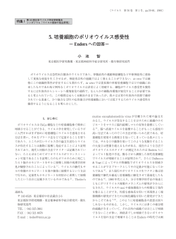 5. 培養細胞のポリオウイルス感受性