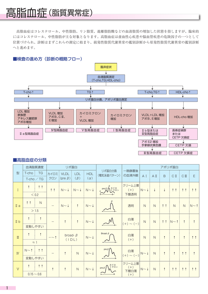 高脂血症 脂質異常症