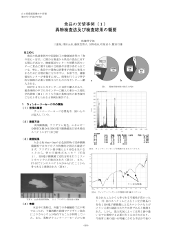 食品の苦情事例（1） 異物検査法及び検査結果の概要