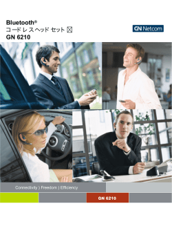 Bluetooth&reg; コードレスヘッドセット GN 6210