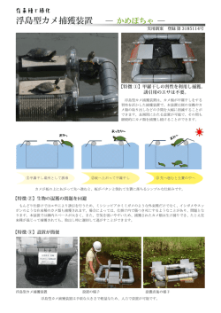 浮島型カメ捕獲装置（かめぽちゃ）