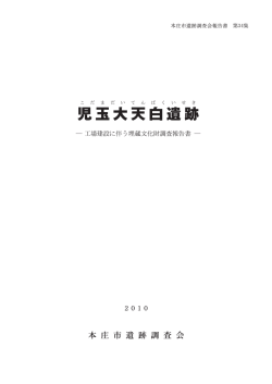 児玉大天白遺跡 (PDF：14.5MB)