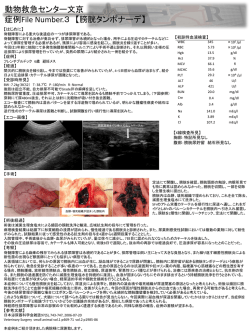 ER文京症例File No.3 『膀胱タンポナーデ』2015年5月