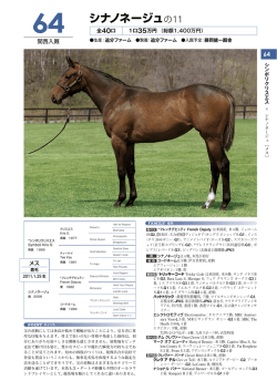 シナノネージュの11