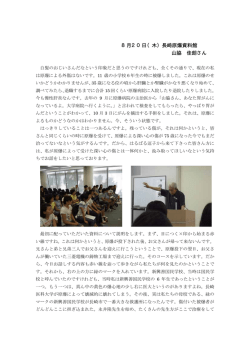 こちら PDF形式 ：86.7KB