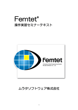 Femtet - ムラタソフトウェア株式会社