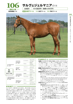 サルヴェジェルマニアの14