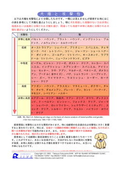 犬種と攻撃性..