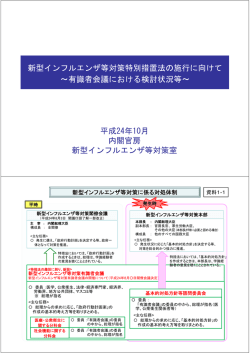 917KB - 九都県市首脳会議 防災・危機管理対策委員会