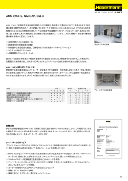 AMS 2750 E, NADCAP, CQI-9