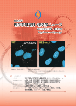 （PDF）のダウンロードはこちら - 東京大学 大学院理学系研究科・理学部