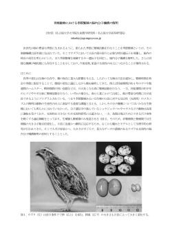 脊椎動物における季節繁殖の脳内分子機構の解明
