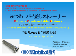 Mitsuwa Pipe-Insertable Strainers