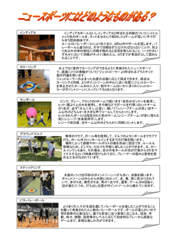 ニュースポーツにはどのようなものがあるの？（PDF：536KB）