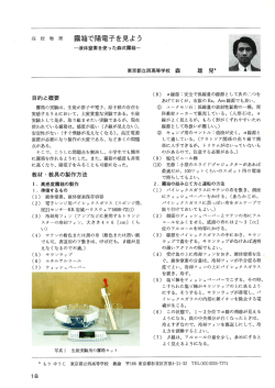 高 校 物 理 霧箱で陽電子を見よう