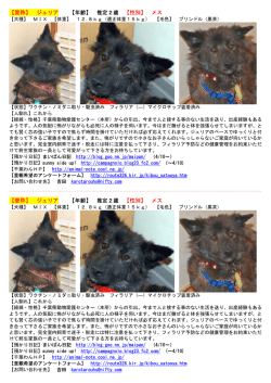 【愛称】 ジュリア 【年齢】 推定2歳 【性別】 メス 【愛称】 ジュリア 【年齢