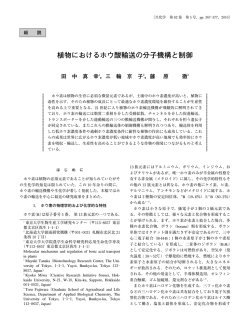 植物におけるホウ酸輸送の分子機構と制御