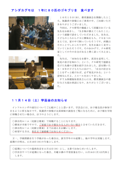 アシダカグモは 1年に80匹のゴキブリを 食べます 11月14日（土）学芸会