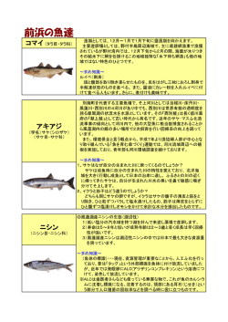 前浜の魚達