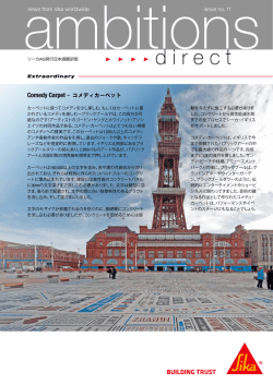 issue no. 11 news from sika worldwide Comedy Carpet