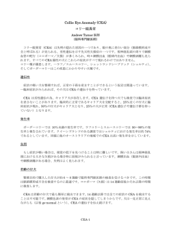 CEAの日本語版PDFファイル