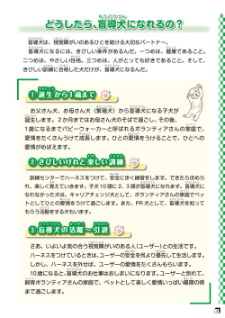 どうしたら、盲 導犬になれるの？