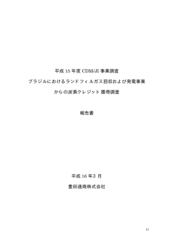 平成 15 年度 CDM/JI 事業調査 ブラジルにおけるランドフィルガス
