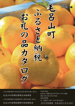 ふるさと納税お礼の品カタログ（PDF:1707KB）