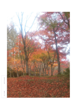 朝まだき嵐の山のさむければ 紅葉の 錦 きぬ人ぞな き