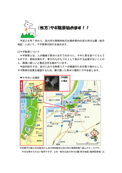 （枚方）ヤギ除草始めます！！