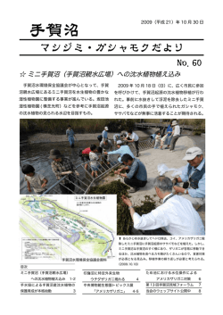 手賀沼にマシジミとガシャモクを復活させる会