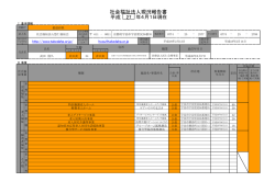 社会福祉法人現況報告書