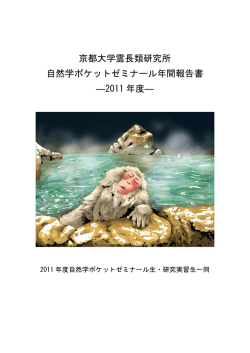 2011年度 年間報告書