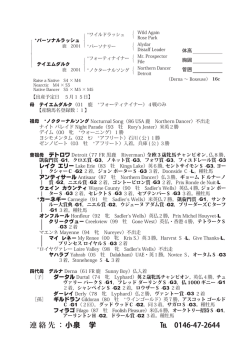 38 - パーソナルラッシュ