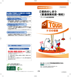 (パーソナル総合傷害保険) ご契約のしおり(普通保険約款・特約)