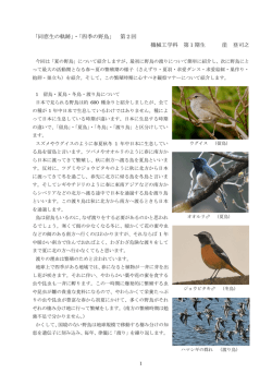 こちら