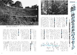 跡が語る未来へのメッセージ（P8～P9）