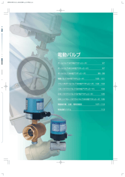 電動バルブ - 東洋バルヴ