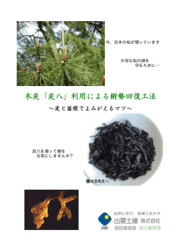 木炭「炭八」利用による樹勢回復工法