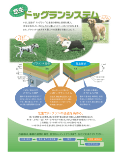 芝生でドッグランの価値を高める。