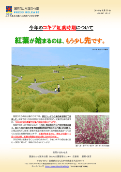 紅葉が始まるのは、もう少し先です。