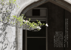 「苦しみにあっ泥ことは、 わたしに良い事です。 これによって わたしは