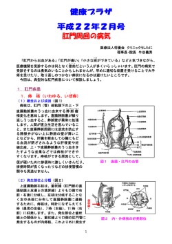 肛門周囲の病気