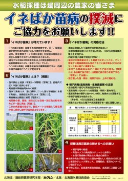 イネばか苗病の撲滅-ほ場周辺の農家の皆様へ