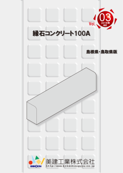 縁石コンクリート100A