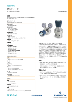 SG3シリーズ - Welcome to Emerson Process Management