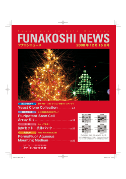 PDF一括ダウンロードはこちら