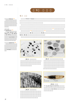 第 9 章 感 染 症