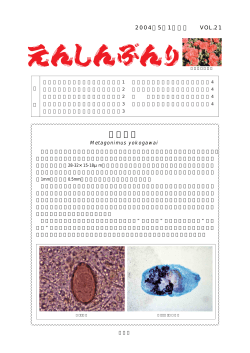 21 2004年5月 PDFﾌｧｲﾙ