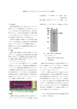 組換えﾋｽﾀﾐﾝｵｷｼﾀﾞｰｾﾞによるﾋｽﾀﾐﾝｾﾝｻｰの作製